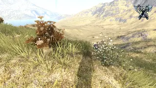 神泣私服开服避坑指南：告别三天倒闭服，畅玩持久服的秘密！