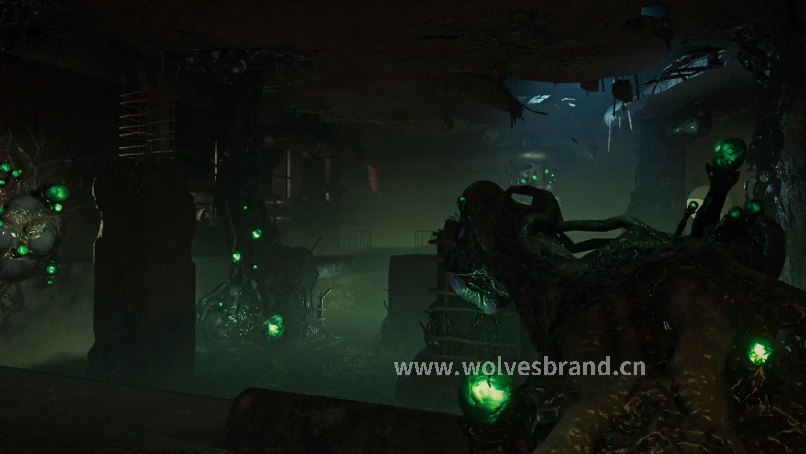 神泣全新地图探索